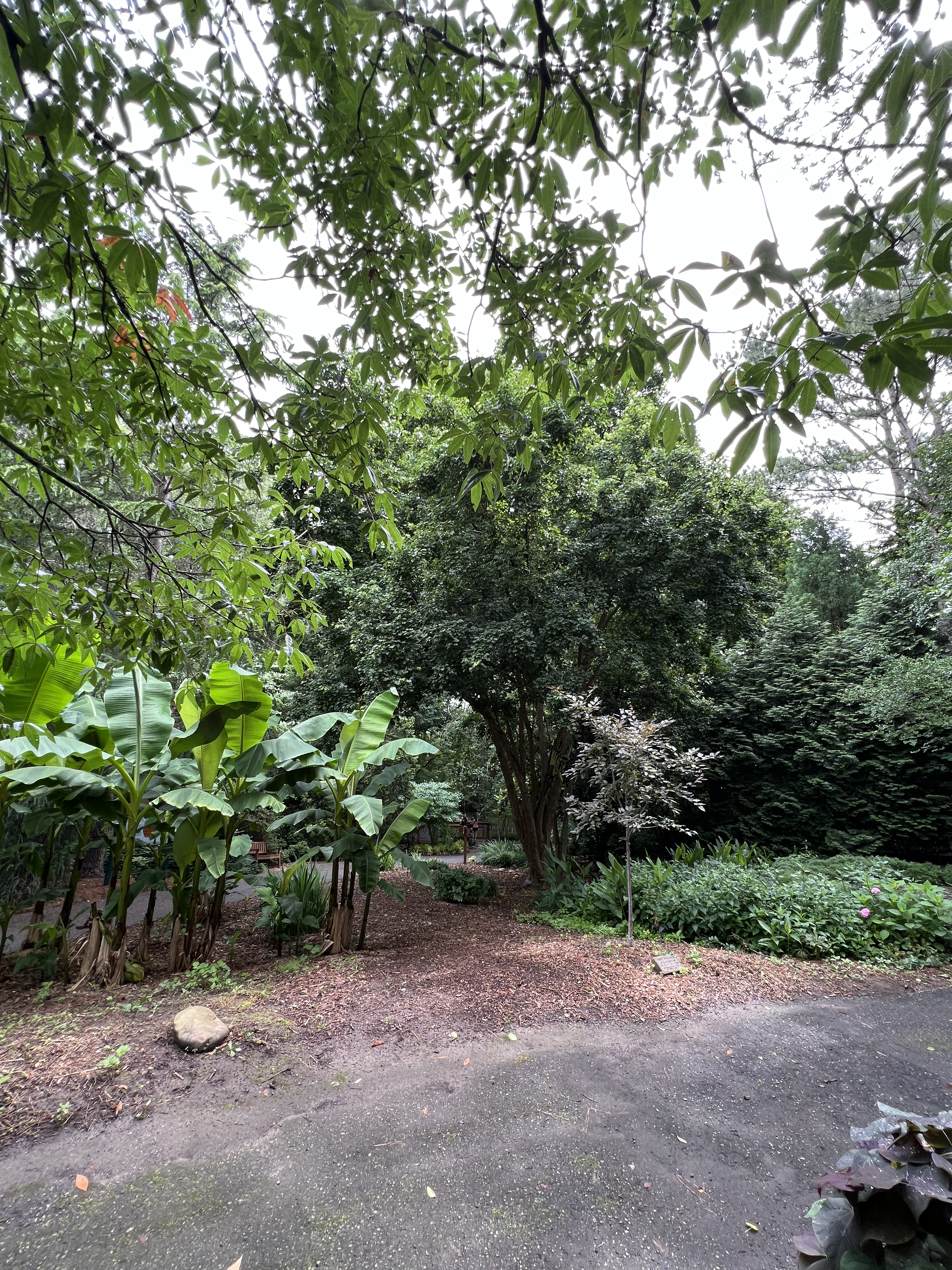 ./2024/07 - Gaffney/IMG_1496.jpg